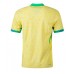 Brasilien Fußballbekleidung Heimtrikot Copa America 2024 Kurzarm